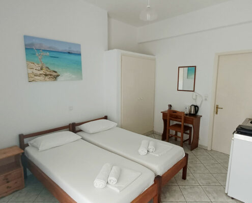 Δίκλινο δωμάτιο με δύο μονά κρεβάτια στο ισόγειο | Θέα στον κήπο Ground-Floor Budget Twin Room | Garden View